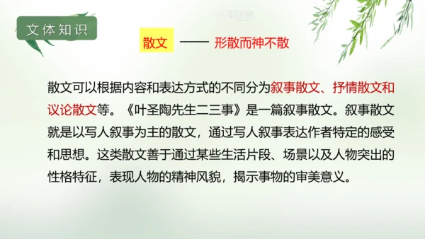 第14课 叶圣陶先生二三事 课件(共25张PPT)