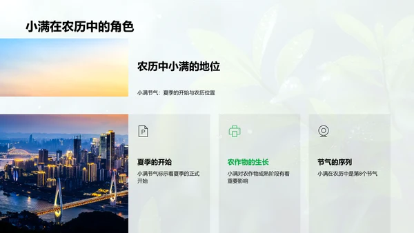 小满节气文化解析PPT模板