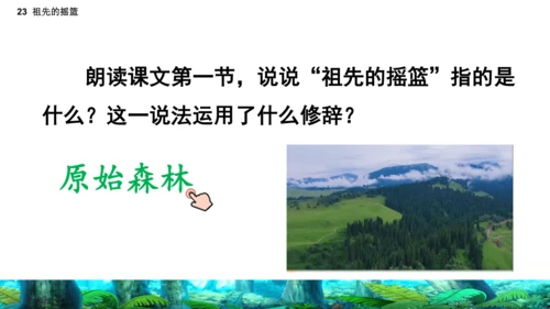 23祖先的摇篮（课件）