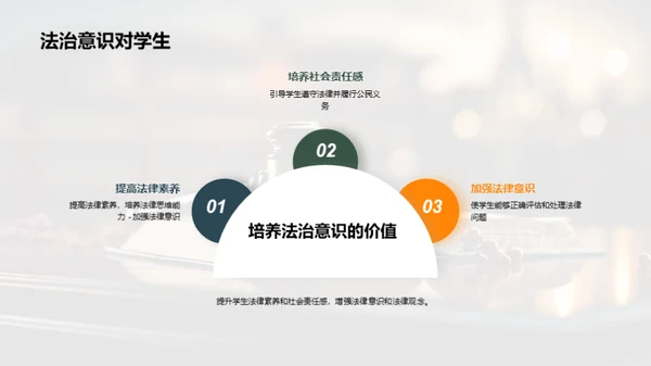 优化高中法治教育路径