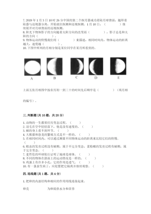 教科版科学三年级下册期末测试卷（预热题）.docx