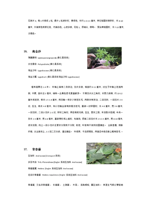 衡山植物园实习植物汇总模板