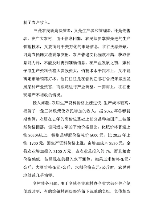 XX农村经济发展调查报告