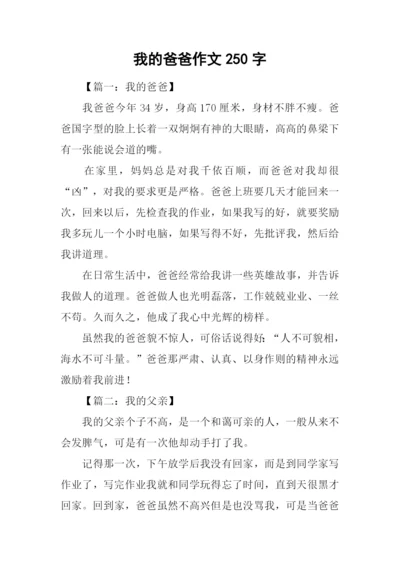 我的爸爸作文250字.docx