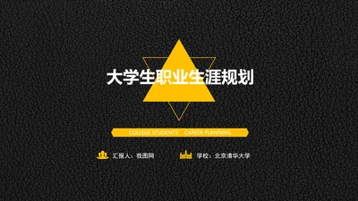 精品背景大学生职业生涯规划PPT