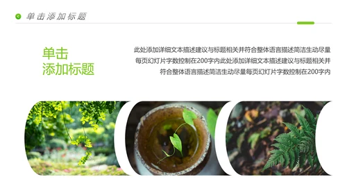 唯美绿色植物生长发芽敬畏生命PPT模板