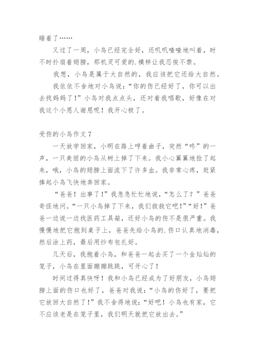 受伤的小鸟作文_18.docx