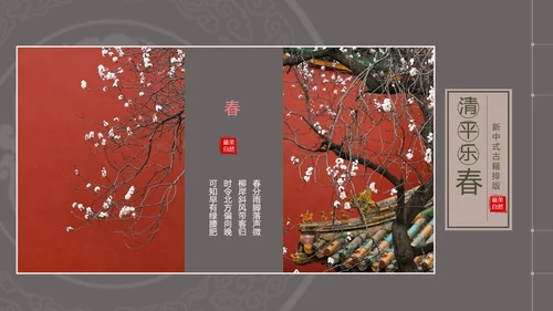 古风清平乐黄鹂鸟中国风相册PPT模板