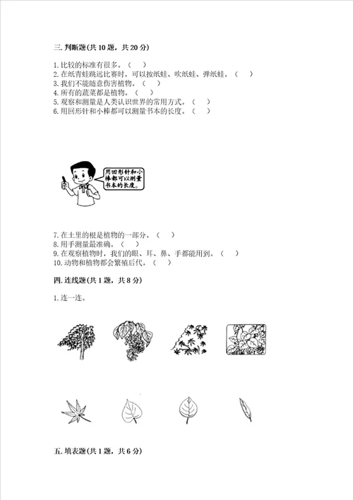 教科版科学一年级上册期末测试卷必考题