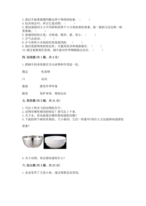 教科版一年级下册科学期末测试卷【能力提升】.docx