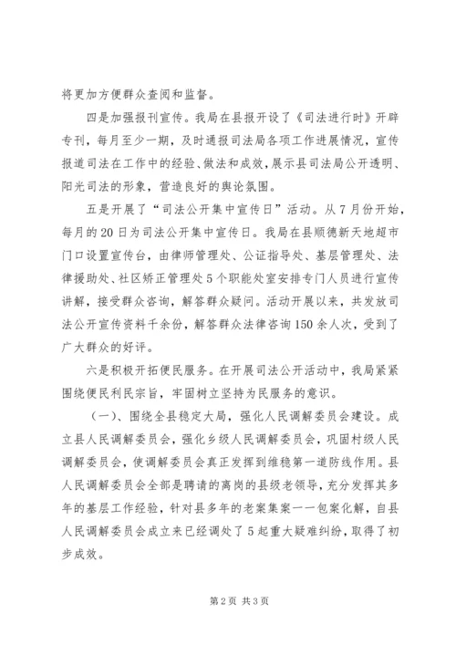 司法公开落实情况汇报材料.docx