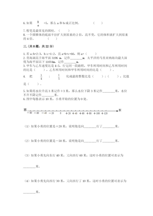 人教版数学六年级下册试题期末模拟检测卷（夺冠系列）.docx