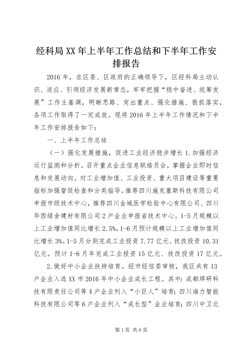 经科局XX年上半年工作总结和下半年工作安排报告.docx