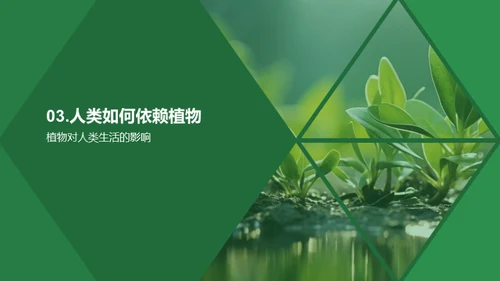 植物生存与人类福祉