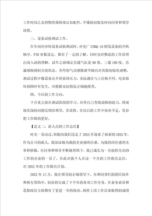新人工作总结范文大全