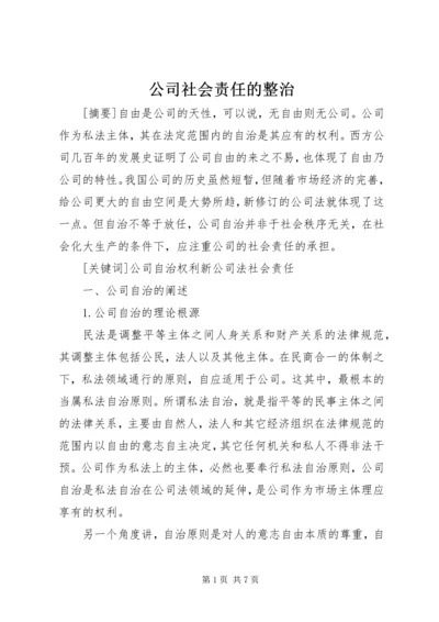 公司社会责任的整治.docx