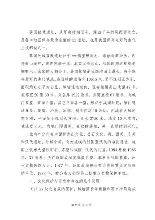 乡镇文化发展及其现状调研报告.docx