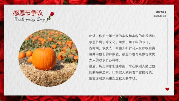 红色玫瑰温馨爱在感恩节感恩节介绍PPT