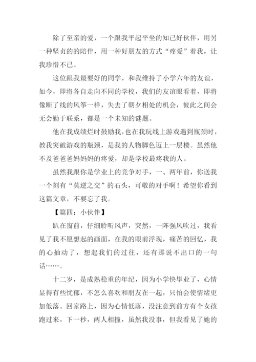 写小伙伴的作文.docx