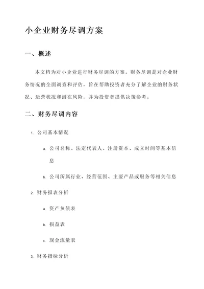 小企业财务尽调方案