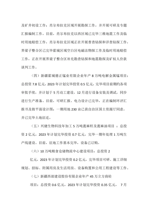 项目建设汇报材料.docx