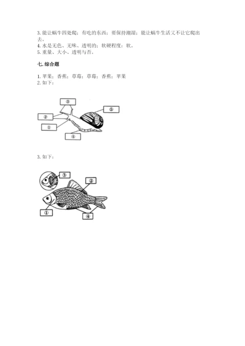 教科版一年级下册科学期末测试卷【精练】.docx