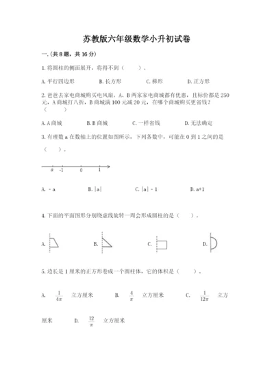 苏教版六年级数学小升初试卷精品（夺冠）.docx