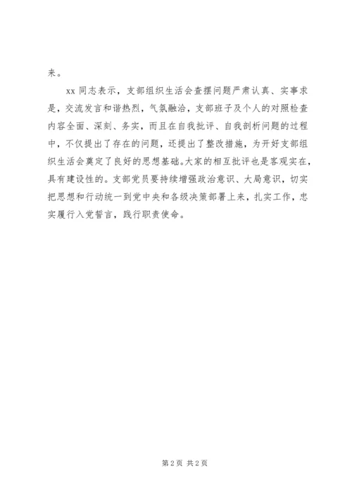 公司党支部召开“不忘初心牢记使命”专题组织生活会总结.docx