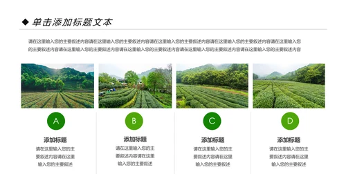 绿色清新茶园茶艺茶道文化动态PPT模板