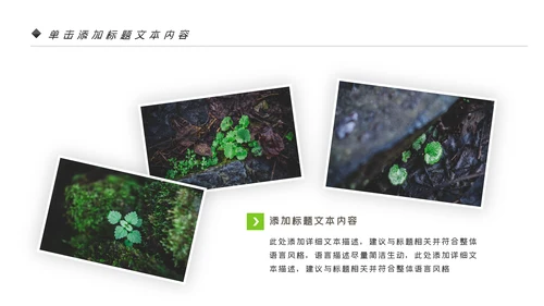 唯美绿色植物发芽植物生长敬畏生命PPT模板