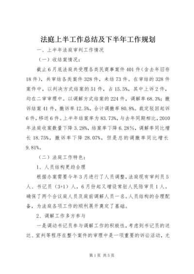 法庭上半工作总结及下半年工作规划.docx