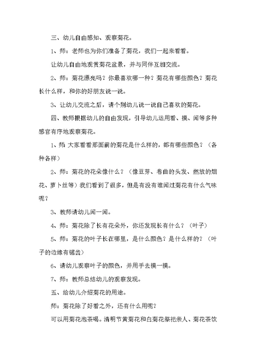 幼儿园中班优质科学教案《秋天的菊花》含反思