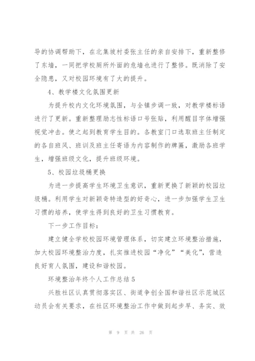 环境整治年终个人工作总结.docx