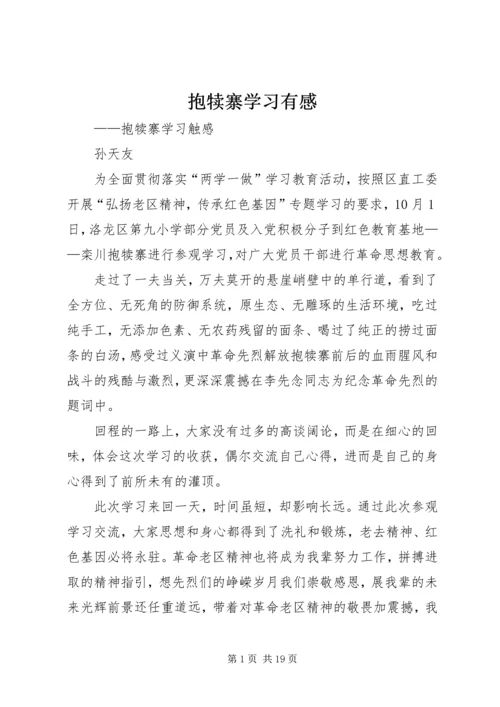 抱犊寨学习有感.docx