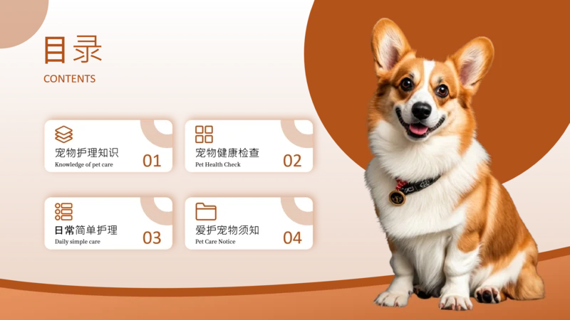 橙色简约风动物目录页