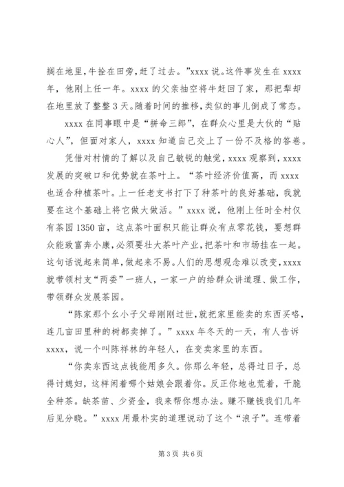 村党支部书记事迹材料 (13).docx
