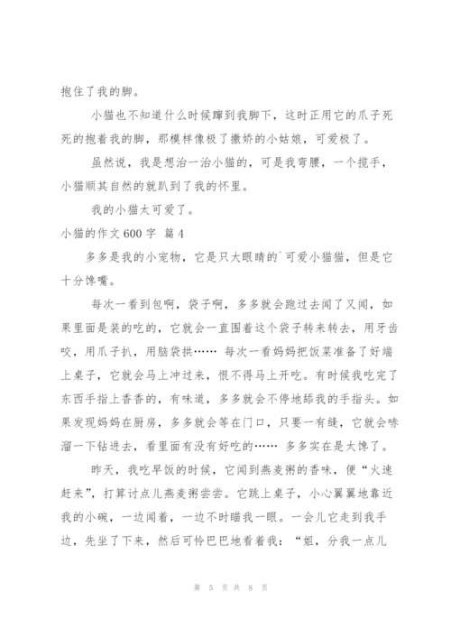小猫的作文600字五篇.docx