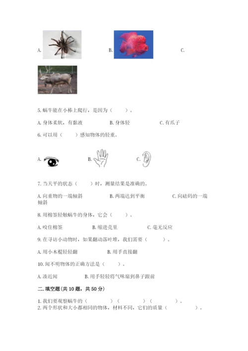 教科版一年级下册科学期末测试卷含完整答案（全优）.docx