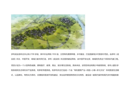 三道堰市场调查研究报告.docx