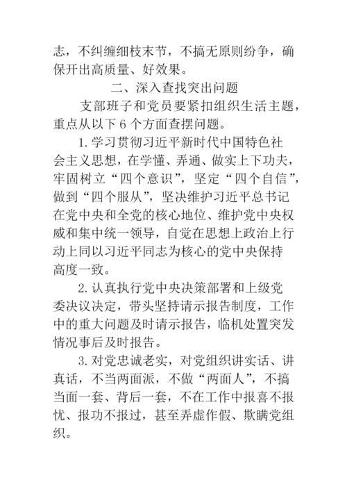 党支部20XX年度组织生活会工作方案.docx