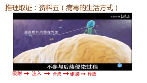 人教版生物八年级上册5.5《病毒》（课件）(共30张PPT)+视频素材