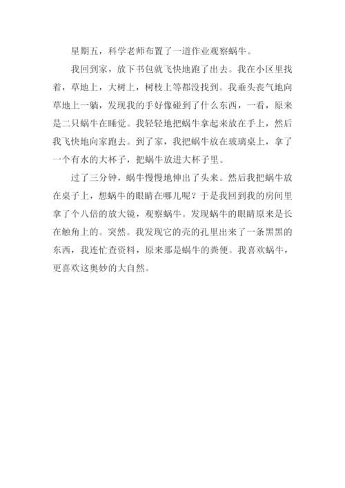 关于观察蜗牛的作文.docx