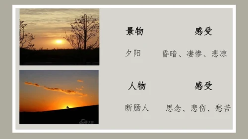 第4课 古代诗歌四首 《天净沙·秋思》课件（共34张PPT）